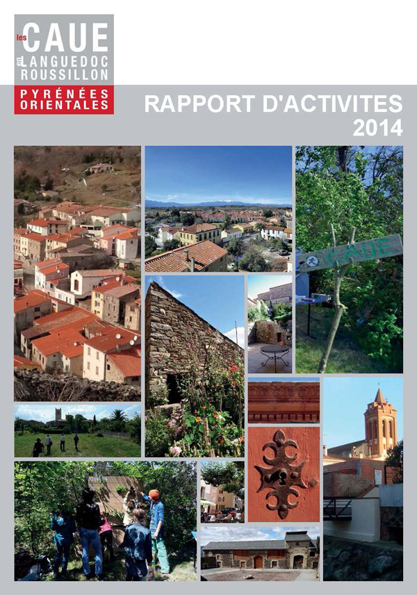 2014 Rapport dactivits